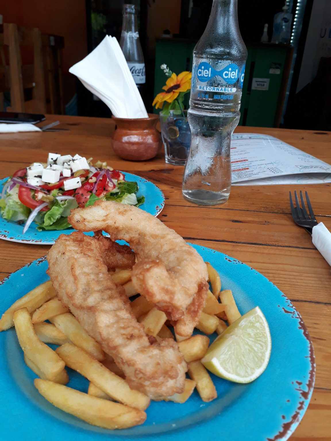 Things to do in Puerto Morelos, Mexico + Restaurants & AirBnbs