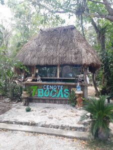 things to do in puerto morelos cenotes