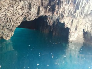 things to do in puerto morelos cenotes