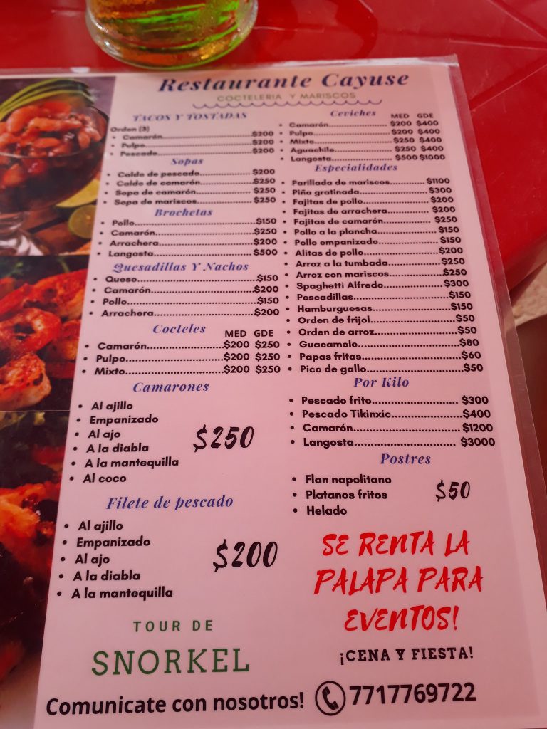 Things to do in Puerto Morelos, Mexico + Restaurants & AirBnbs