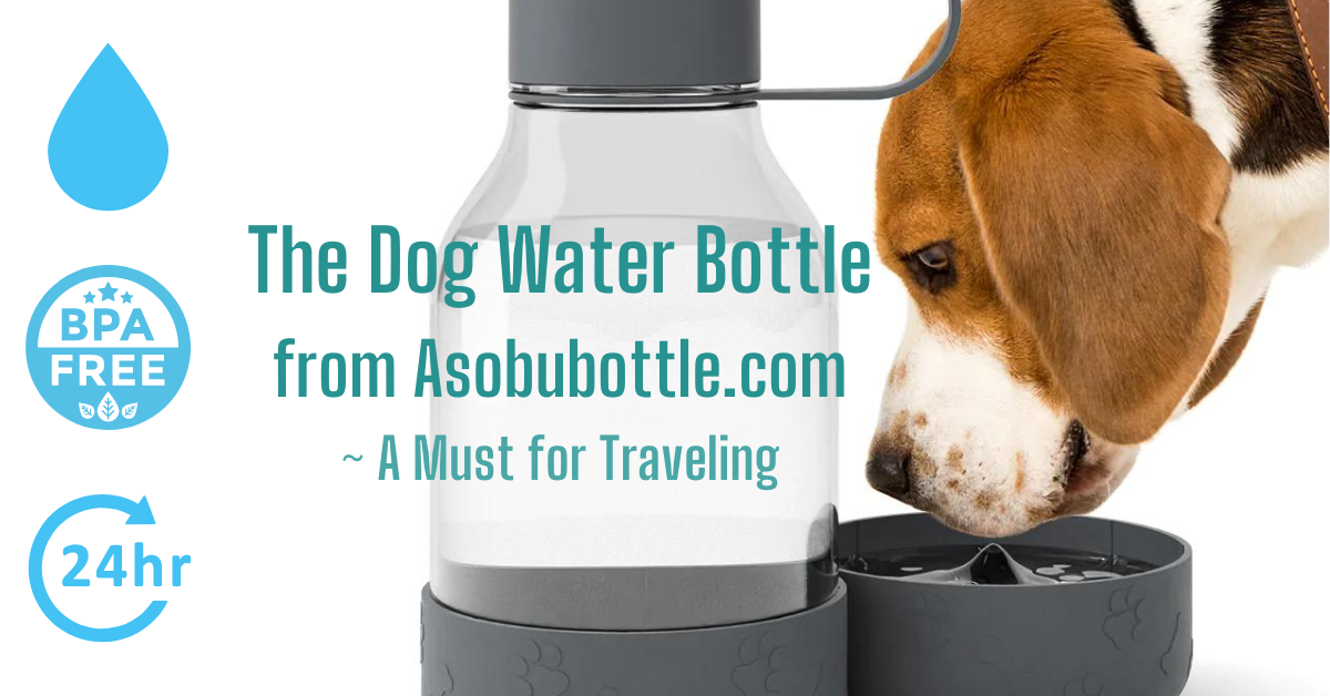 A Dog Water Bottle from is a Must for Traveling