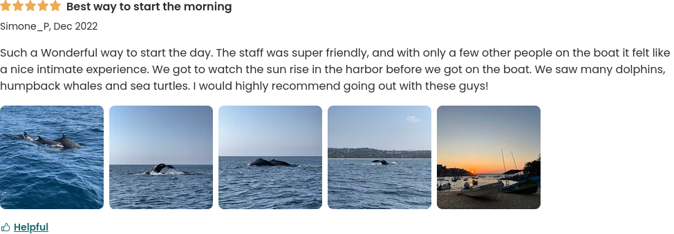 puerto escondido whale watching reviews 1