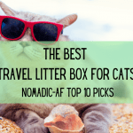 Best Travel Litter Box for Cats.