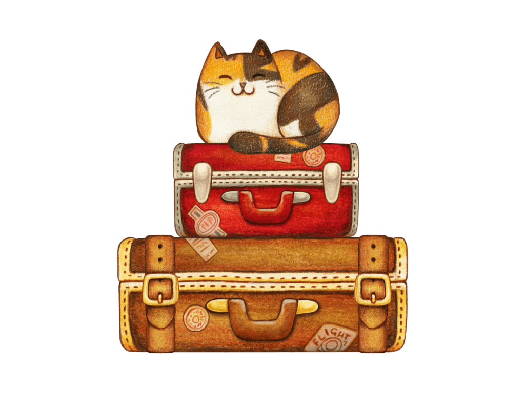 Best Travel Litter Box for Cats. 10